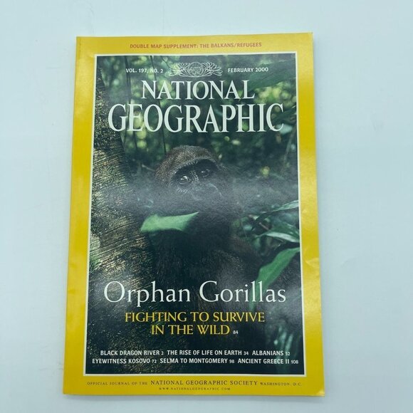 5/$10 National Geographic Magazine Orphan Gorillas April 2000 - Picture 9 of 9